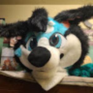 Meet your Posher, Ico